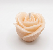 Colección Souvenir: Rosa marfil ros - Vista 9