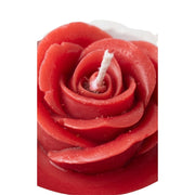 Colección Florilegio: Souvenir set de 5 pzas. Floral en Velas Decorativas - Vista 12