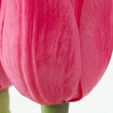 Colección Éclat | Tulipán Fucsia en Arreglo Floral Artificial