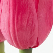 Colección Éclat | Tulipán Fucsia en Arreglo Floral Artificial - Vista 5