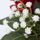 Colección Pasión: Éxtasis de Rosas