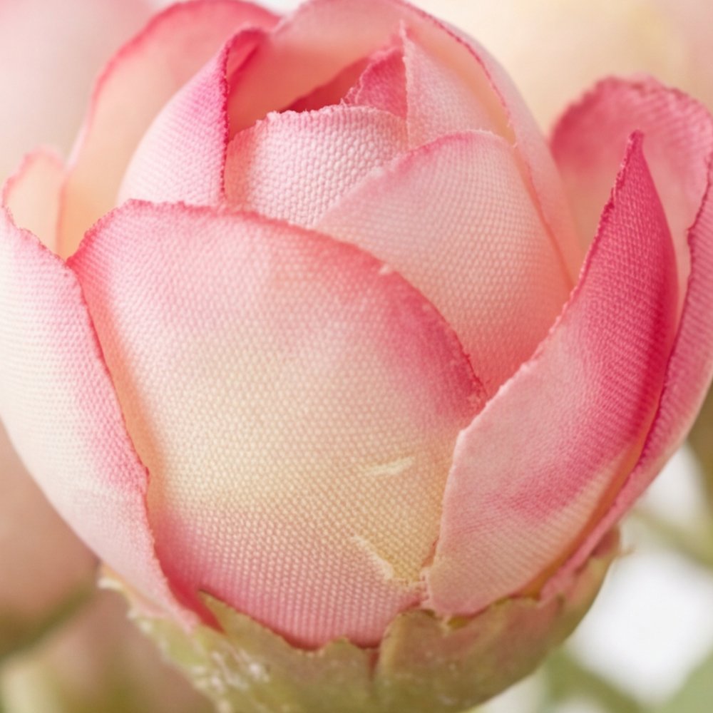 Colección Rosée: Tulipanes en Armonía Minimalista