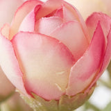 Colección Rosée: Tulipanes en Armonía Minimalista