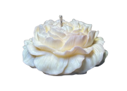 Colección Peonía: Vela XL de Aroma Decorativo Intenso - Vista 4